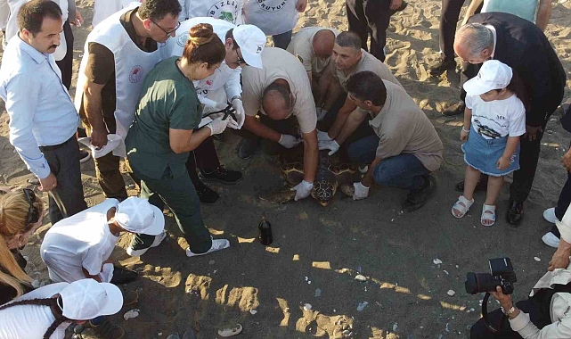 50 yaşındaki Caretta Caretta 2 yıl sonra denizle buluştu