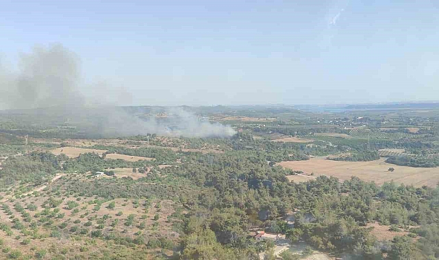 Adana'da çıkan orman yangını kontrol altına alındı