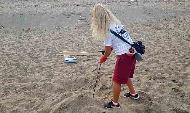 Alanya'da caretta caretta yuvalarında rekor kırıldı