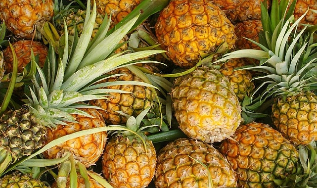Ananas fiyatı ne kadar?