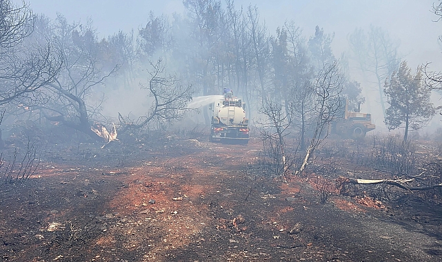 Antalya'da iki ayrı noktada orman yangını