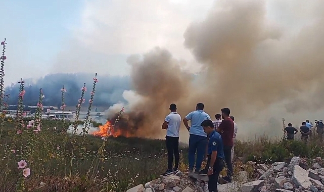 Antalya'da orman yangını kontrol altına alındı