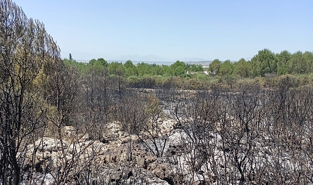 Antalya'da orman yangınında 2 hektar alan zarar gördü