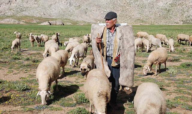 Antalya'da Yörüklerin yayla serüveni başladı