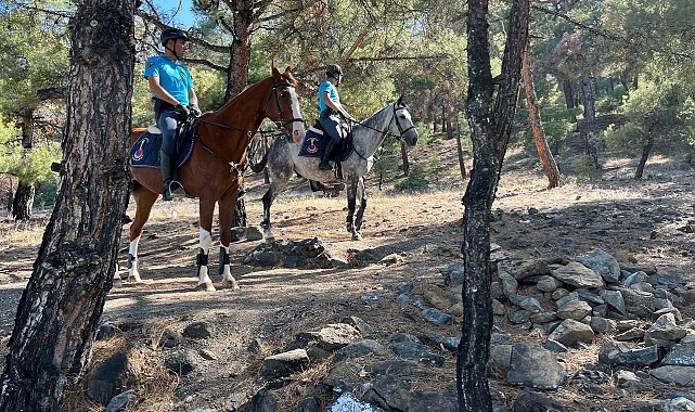 Burdur Valiliği tarafından 15 Haziran- 15 Ekim tarihleri arasında ormanlık alana girişler yasaklandı