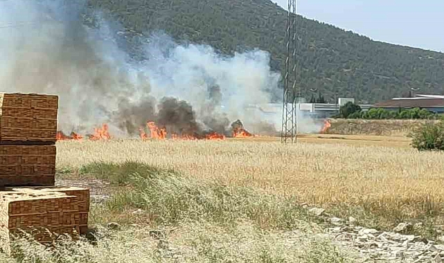 Burdur'da çıkan arazi yangınında yaklaşık 25 dekar alan yandı