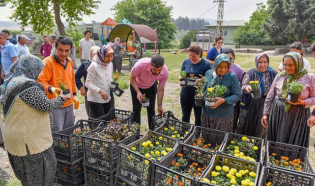 Doğal Mücadele: Sivrisinek ve Haşerelere Karşı Aromatik Bitkiler!