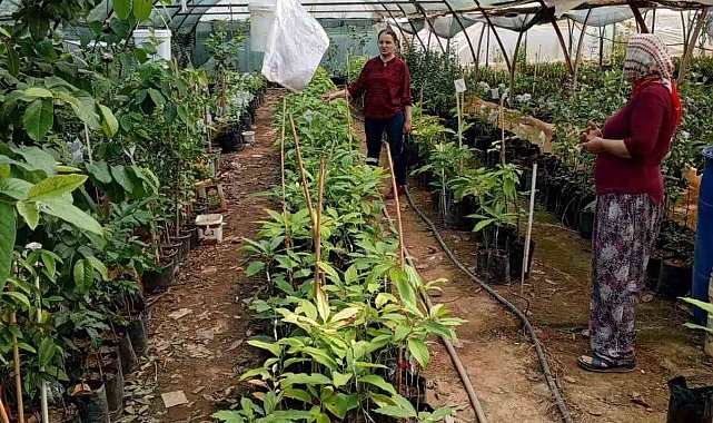 Gazipaşa'da fidan satıcıları denetlendi