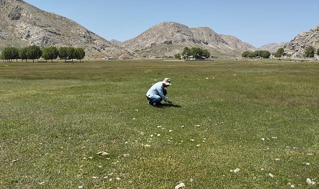 Gazipaşa'nın yaylalarında çekirge sürvey çalışması yapıldı