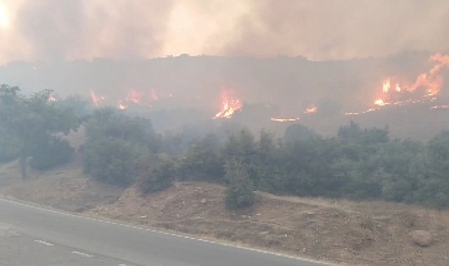 İki ayrı alanda örtü yangını