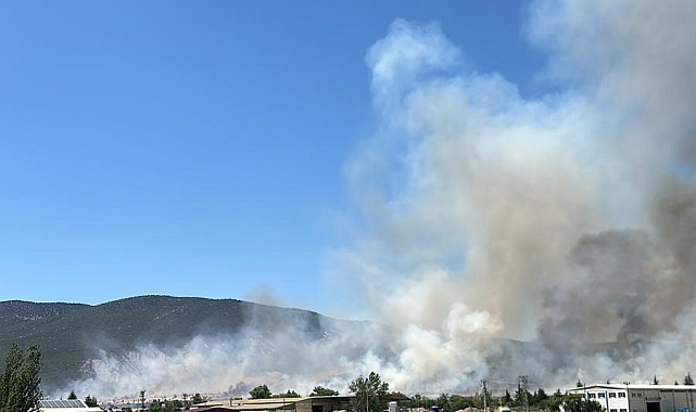 Isparta'da tarla yangını