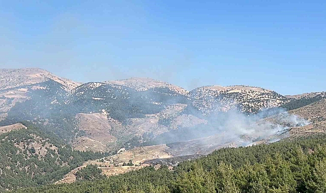 Kahramanmaraş'ta orman yangını: Ekipler müdahale ediyor