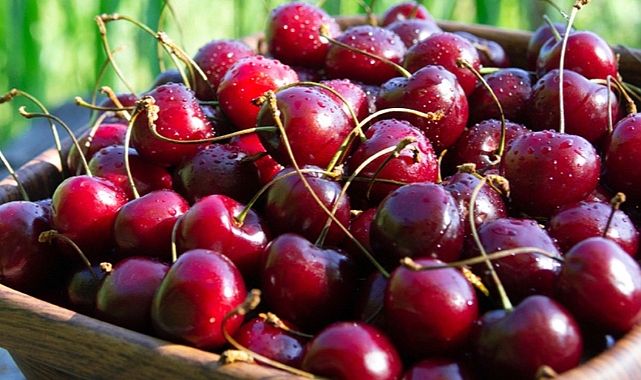 Kirazın Melatonin Kaynağı Olarak Sağlık Üzerindeki Faydaları