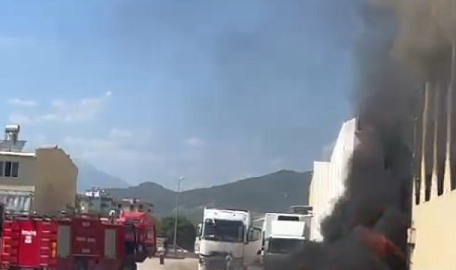 Kumluca Hali'nde korkutan yangın