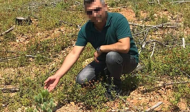 Manavgat'ta Zimmet Soruşturması: Orman İşletme Müdürü ve 10 Kişi Gözaltında!