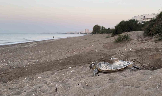 Mersin, sezonluk misafirlerini ağırlıyor