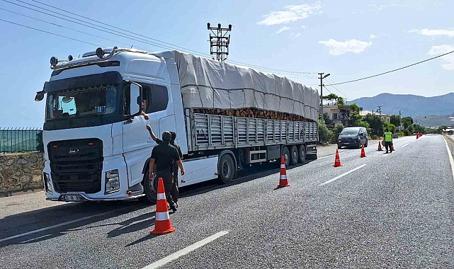 Mersin'de orman kaçakçılığına yönelik denetim yapıldı