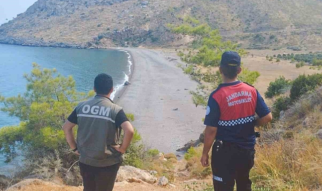 Mersin'de ormanlık alanlar denetleniyor