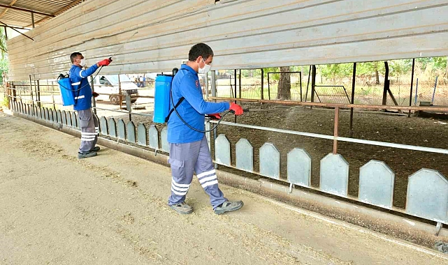 Meyve ihracatının düşmanı Akdeniz Meyve Sineği ile topyekun mücadele