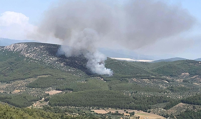 Muğla Valiliği'nden orman yangını uyarısı
