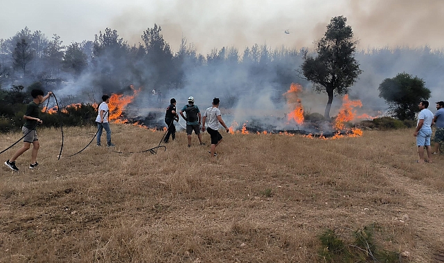 Muğla'da anız yangınlarına karşı uyarı