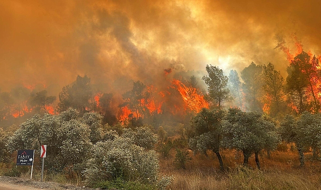 Muğla'da olası orman yangınlarına karşı tedbirler alındı