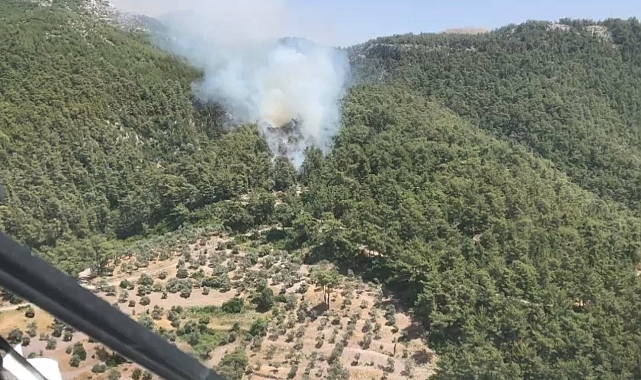Muğla'da orman yangını
