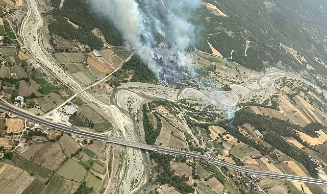 Muğla'da orman yangını