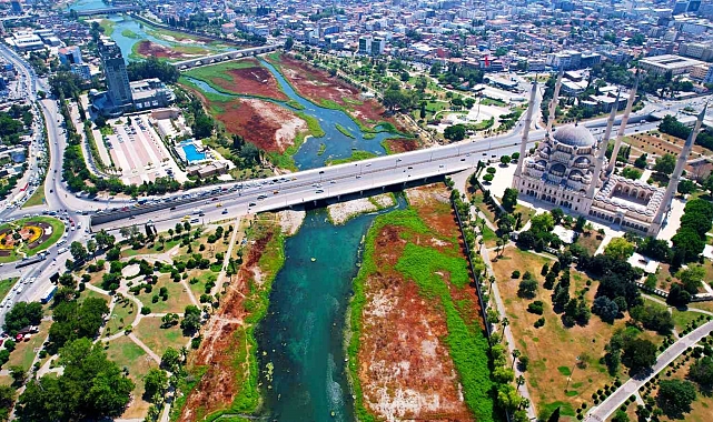 Nehri kaplayan yosunlar insan boyunu geçti, kötü koku kenti kapladı