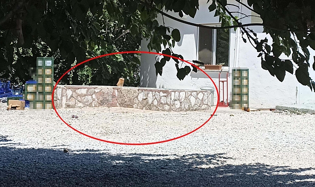 Öldürülen Zehra davasında ağırlaştırılmış müebbet hapsin gerekçesi açıklandı