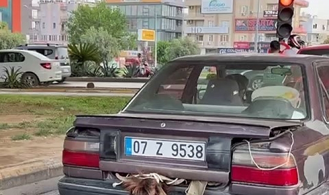 Otomobil bagajındaki kurbanlığın halini görenler gözlerine inanamadı