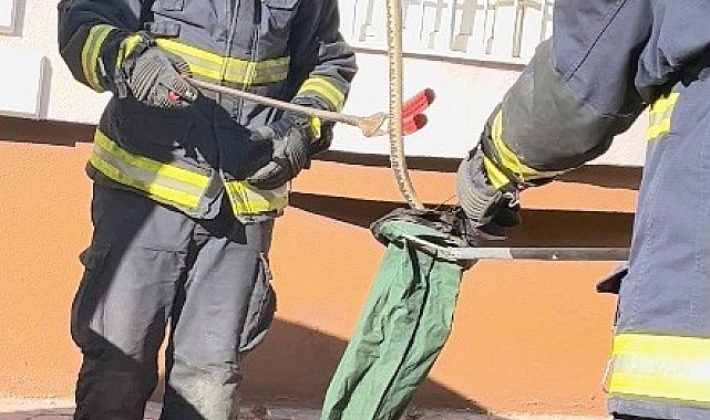 Park halindeki cipe giren yılanı, itfaiye ekipleri çıkardı