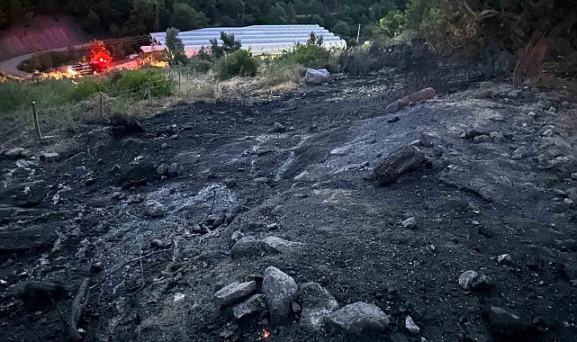 Serik'te orman yangını kısa sürede söndürüldü