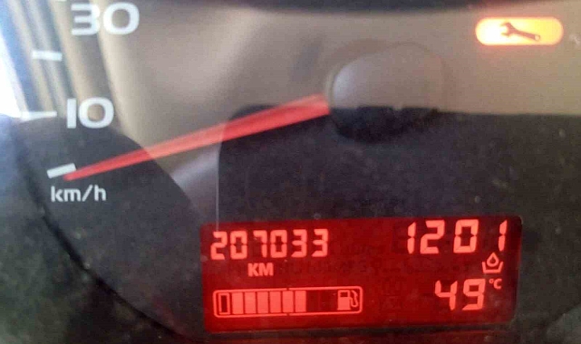 Tarihi sıcaklık belediyeye sokak hayvanları için çağrı yaptırdı