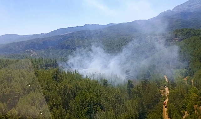 Tazı Kanyonu'nda çıkan orman yangını söndürüldü