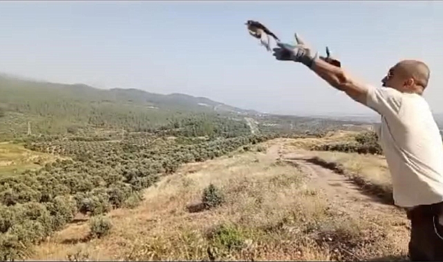 Tedavisi tamamlanan kuşlar doğaya bırakıldı