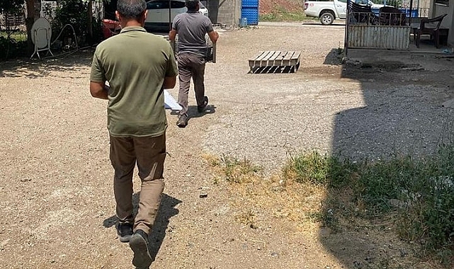 Yaralı leylek koruma altına alındı