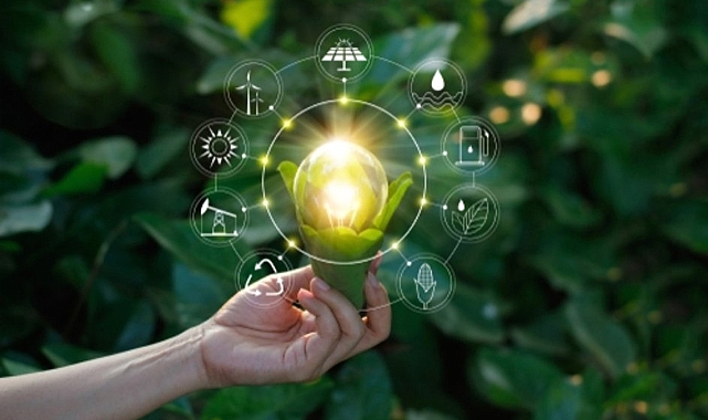 Yeşil Patent Nedir? Ne Anlam İfade Ediyor? Ne İşe Yarıyor?