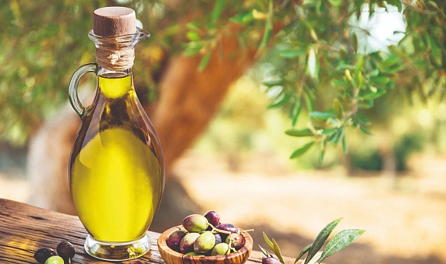 Zeytinyağında ihracat yasağı kaldırıldı; 'Olumlu bir gelişme'