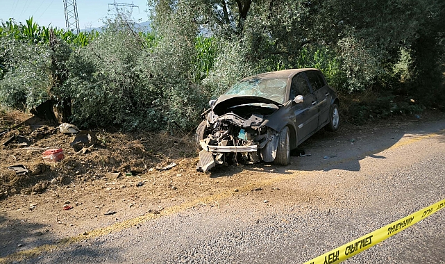 Ağaca çarpan otomobilin sürücüsü öldü