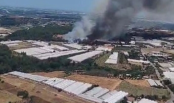Antalya'da çıkan orman yangınında seralar büyük zarar gördü