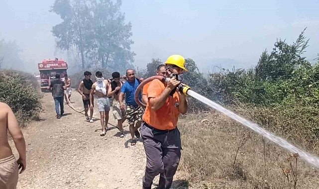 Antalya'da mezarlık yangını ormana sıçradı, mahalleliyi alarma geçirdi