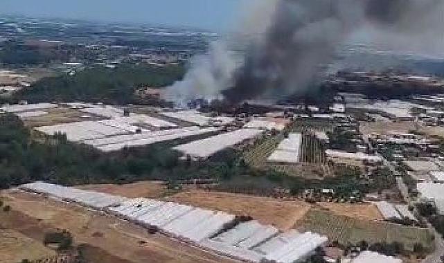 Antalya'da orman dışı otluk alanda yangın
