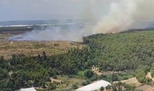 Antalya'da orman yangını