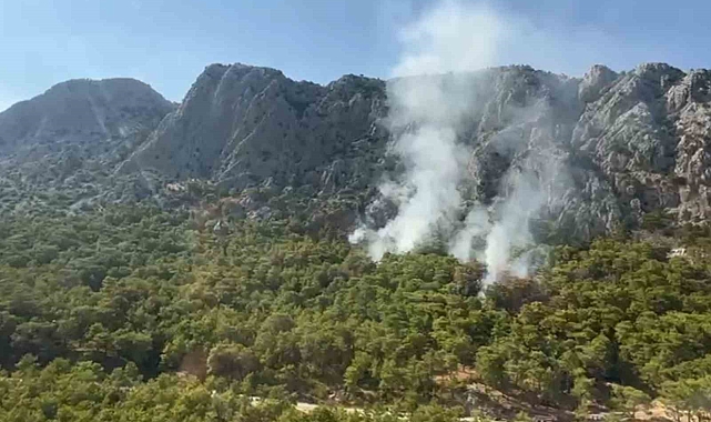 Antalya'daki orman yangını kontrol altına alındı