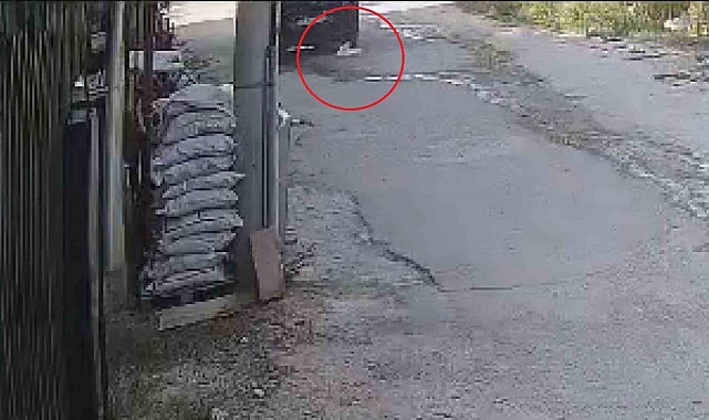 Aracın, su içen kediyi ezdiği anlar kamerada