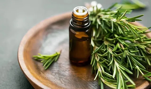 Biberiye Yağı Nedir? Faydaları ve kullanım alanları neler?