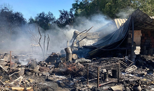 Bodrum'da hurdalık yangını halı yıkama tesisine sıçradı