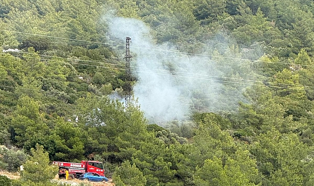 Bodrum'da ormanda çıkan korkutan yangın büyümeden söndürüldü