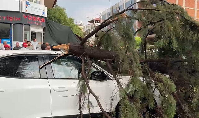 Burdur'da fırtınada kırılan ağaç aracın üzerine devrildi